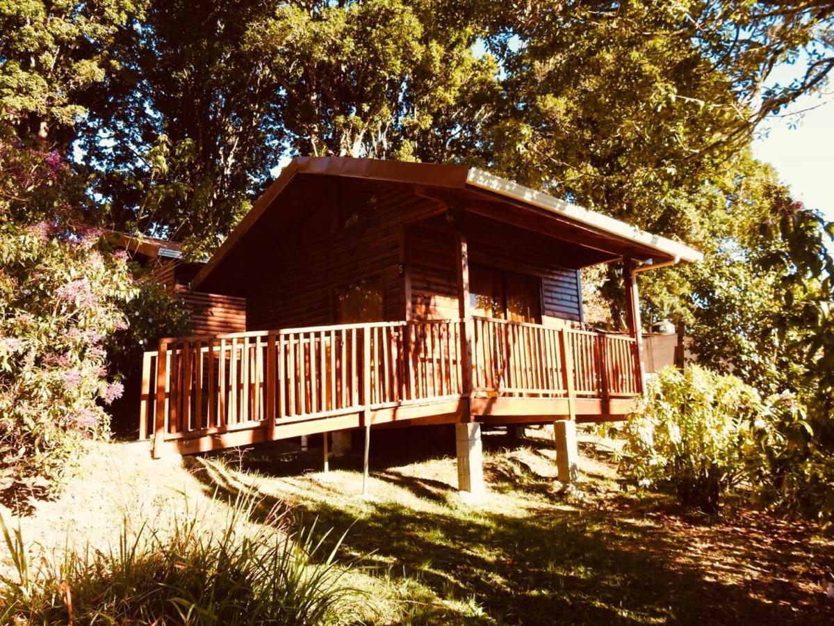 Cabanas San Gerardo San Gerardo de Dota Bagian luar foto